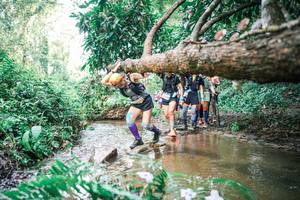 BIB: 
                            <button type="button" onclick="openModal(25514879)" class="btn btn-primary btn-sm float-right btn-popup" data-toggle="modal" data-target=".modal-high-quality">
                        <i class="fas fa-shopping-cart"></i> Add to Cart
                    </button>
                                            <button type="button" onclick="isThisMe(25514879, true)" class="btn btn-success btn-sm float-right btn-popup btn-isme hidden" data-toggle="tooltip" data-placement="bottom" title="นี่คือรูปของคุณใช่ไหม คลิกที่นี่เพื่อเอาเข้าอัลบั้ม">
                        <i class="fas fa-plus"></i> Add to album
                    </button>
                    <button type="button" onclick="isThisMe(25514879, false)" class="btn btn-warning btn-sm float-right btn-popup btn-isnotme hidden">
                        <i class="fas fa-ban"></i> Remove from album
                    </button>